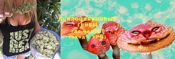 COCAINE Заводоуковск