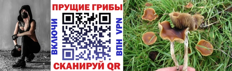 Галлюциногенные грибы MAGIC MUSHROOMS  Купить где  Ялта 
